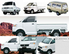 Suzuki carry pick up bekasi